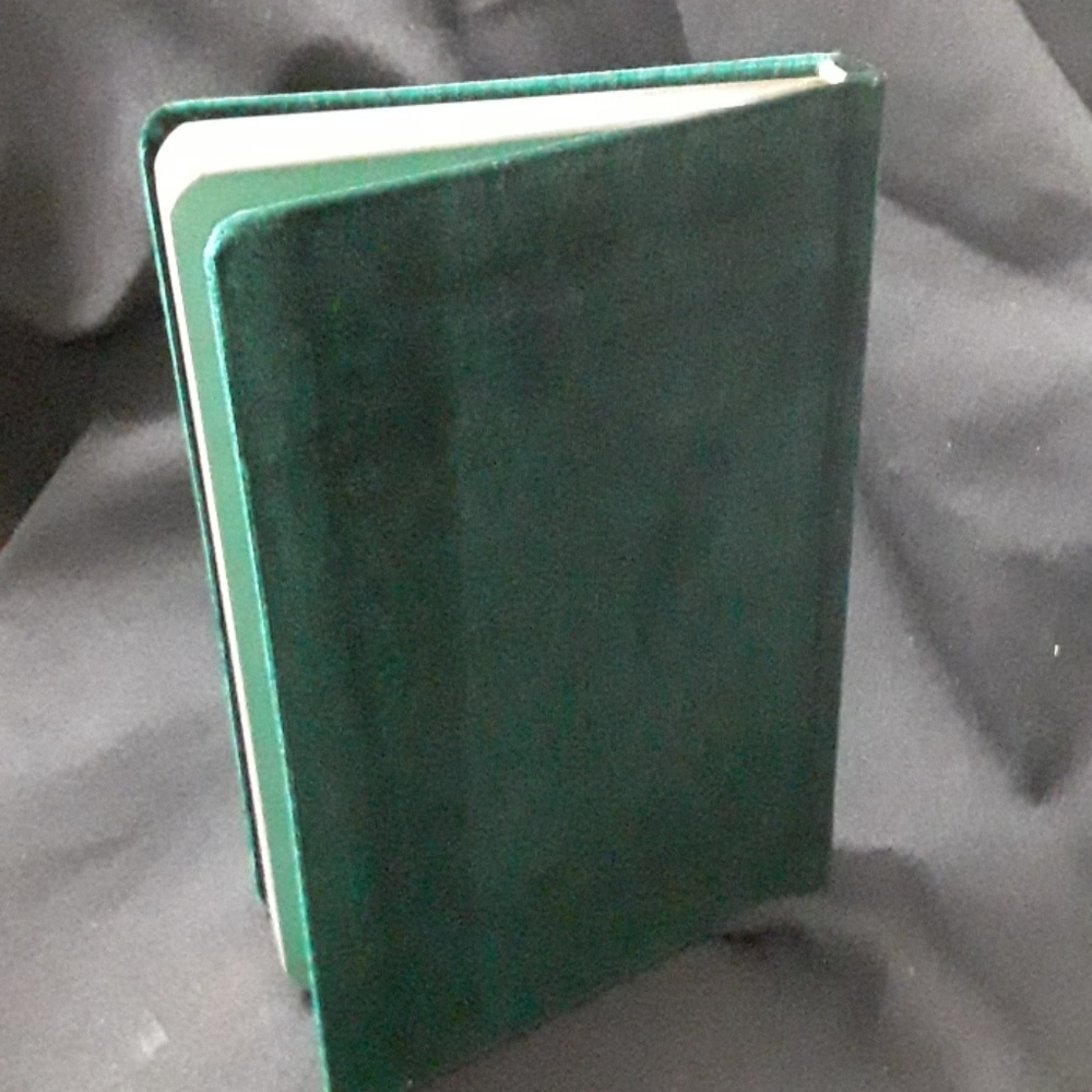 Taurus Velvet Notebook - Picture 3 of 4